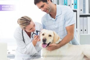 study veterinary medicine in Romania